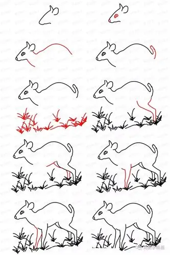 一步一步免费教你画鹿2|绘画|草地|教程_新浪新闻