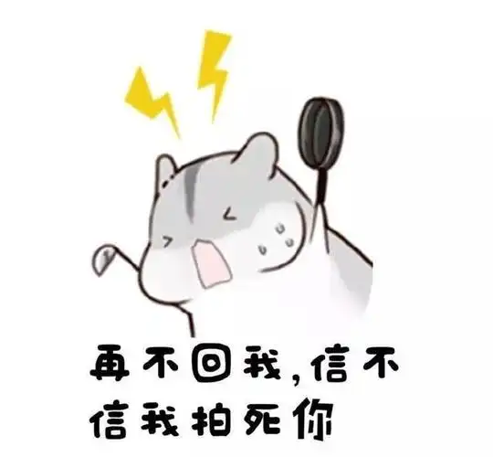 仓鼠表情包:你居然不回我消息!