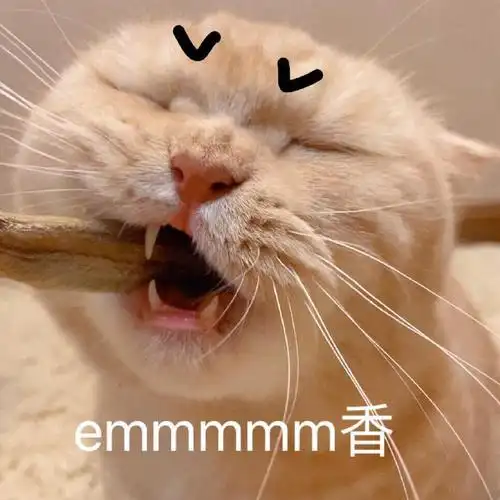 萌宠猫星人emmm香气呆萌可爱gif动图_动态图_表情包下载_soogif