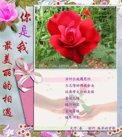 [正能量精英诗词社]第22期周同题《你是我情不自禁的牵挂》(刊二)