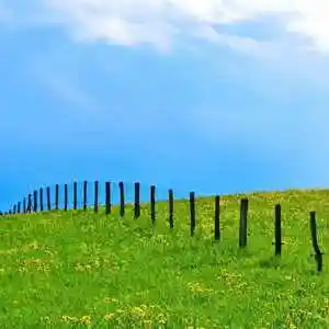 微信大草原风景背景图片_微信头像图片大全