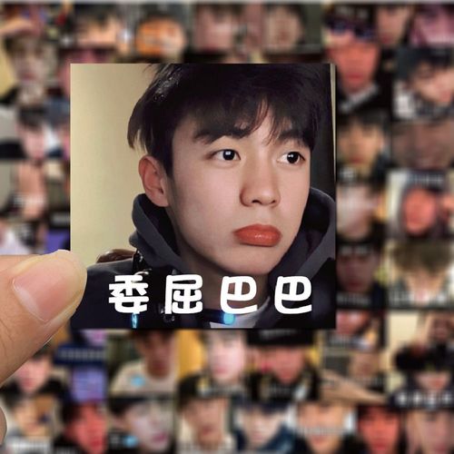 56张抖音网红余庆伟表情包鱼哥不重复自粘手机壳装饰搞笑防水贴纸