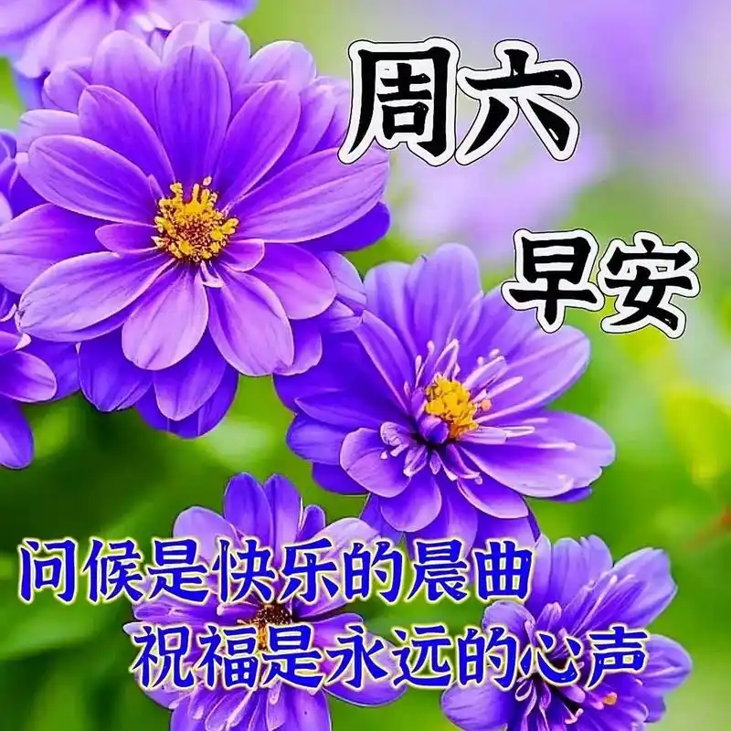 周六早上好,精选早安暖心祝福图片带字带祝福语,温馨早安问候语群发