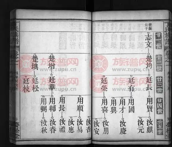 丁氏族谱9卷首3卷第4本