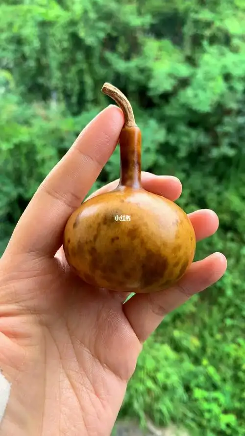 去皮以后的纹路越盘越好看!