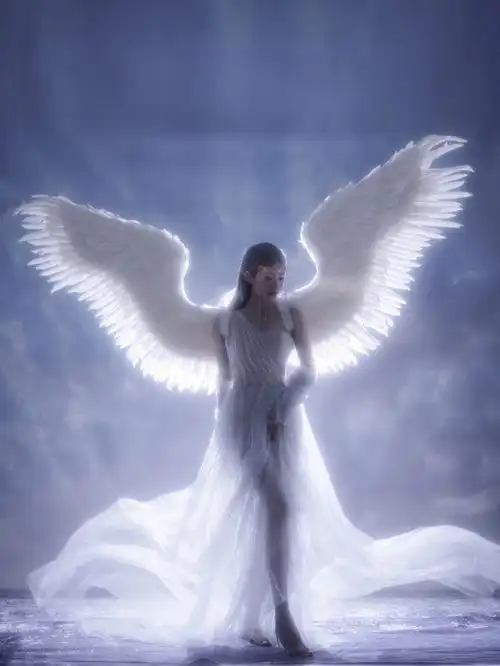 你是神明最好的赋予78贺州天使艺术照