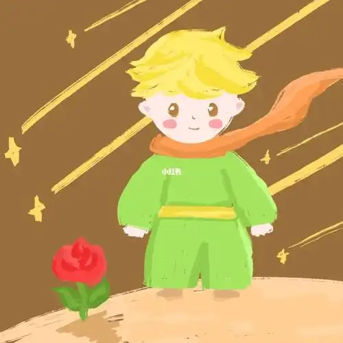 每日插画练习感觉更适合头像的小王子