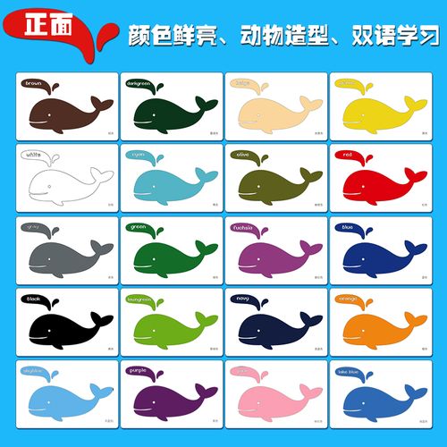 颜色杜曼闪卡色卡20张色彩鲜艳大卡认识双语学习早教闪卡