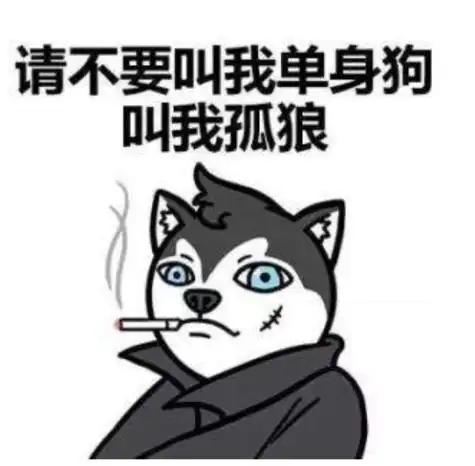 恭喜你找到组织了!520单身狗最强生存指南