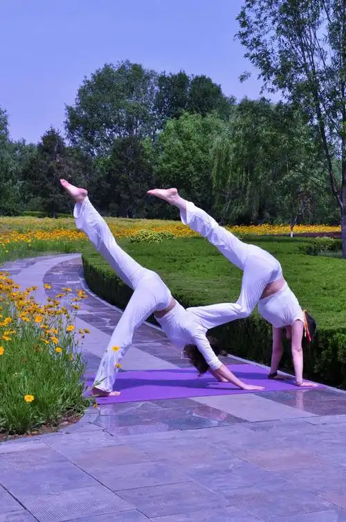 金韵瑜伽 身心双修