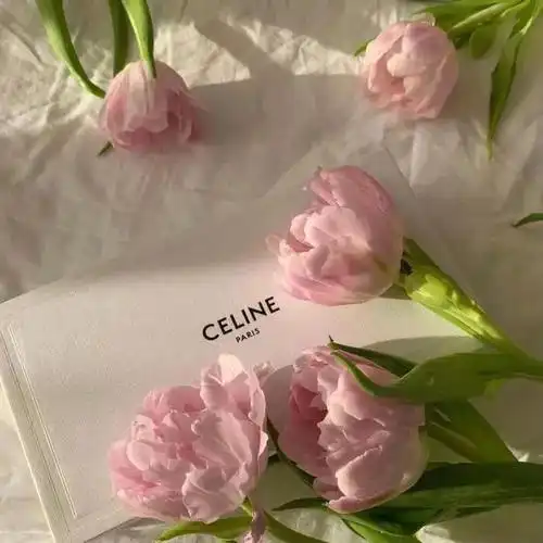 有没有好的微信朋友圈相册封面推荐一下