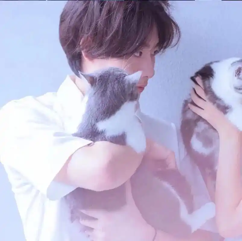 抱猫情侣头像合集来啰