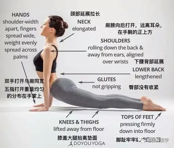 第二十一式:上犬式