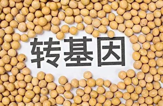 转基因到底是什么为什么很多人抵触转基因食品真的有害吗