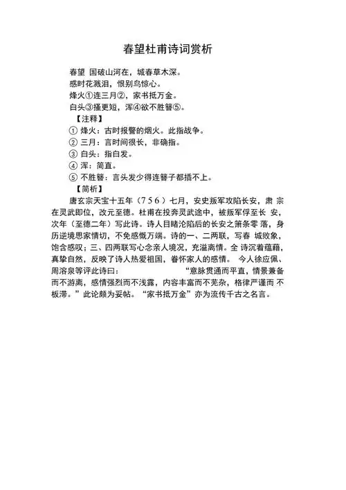 春望杜甫诗词赏析