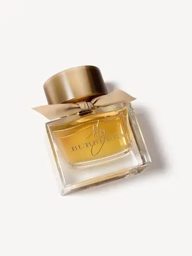 my burberry 我的博柏利女士香水 90ml 产品图片01