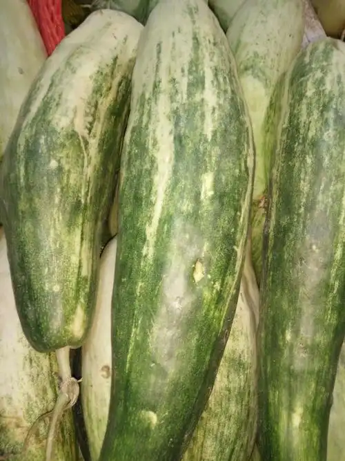 牛角密,惊爆价1.89元一斤