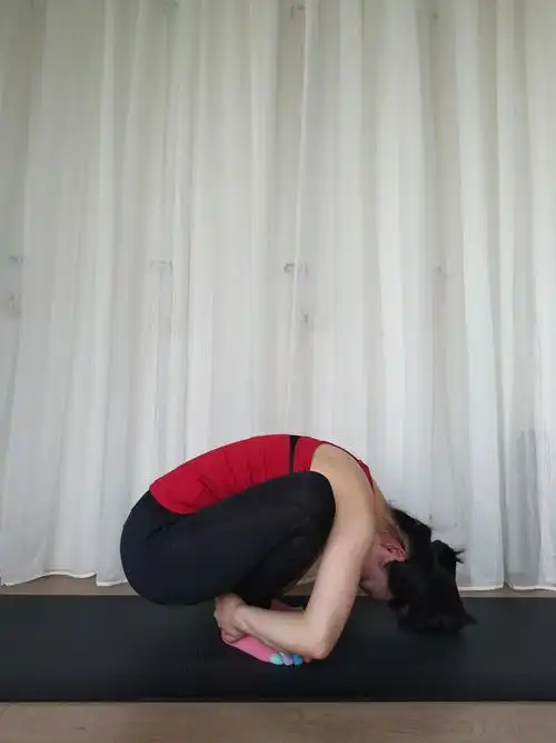 哈他瑜伽体式331