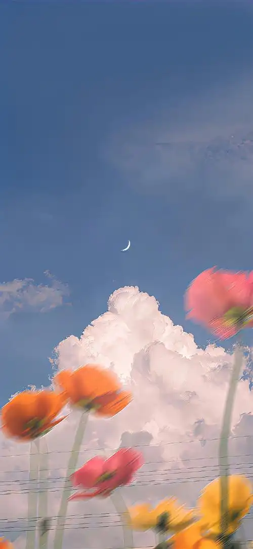 超喜欢的锁屏壁纸又增加啦