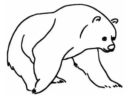 北极熊的简笔画 北极熊的简笔画怎么画