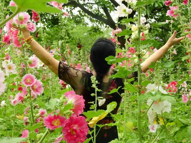 鲜花配美女就像一幅幅诗情画意