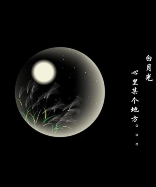 白月光下,冷漠面孔