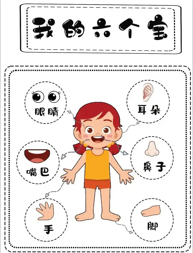 小班《认识五官》小班美工区《认识五官》,可直接打印#幼儿园  - 抖音