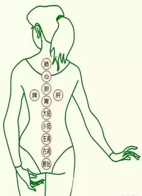 【拔上一罐,病去一半】不同身体区域罐斑的诊断方法