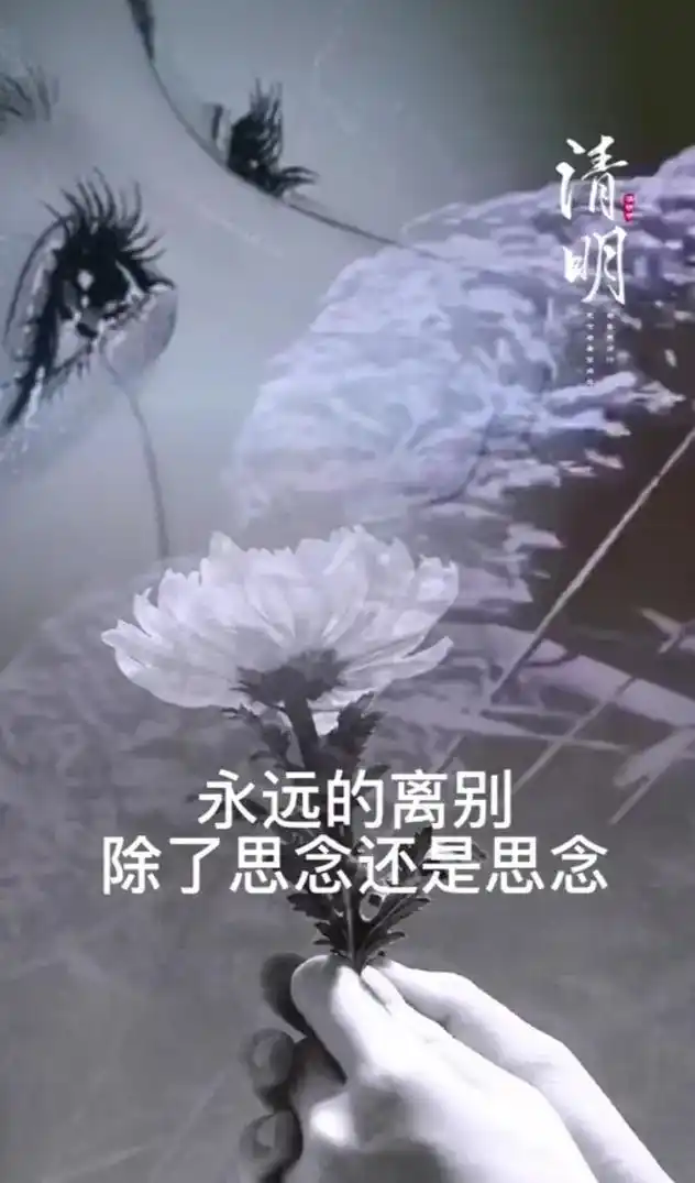 十年生死两茫茫,不思量自难忘.天上人间无处话凄凉.纵使相逢应 - 抖音