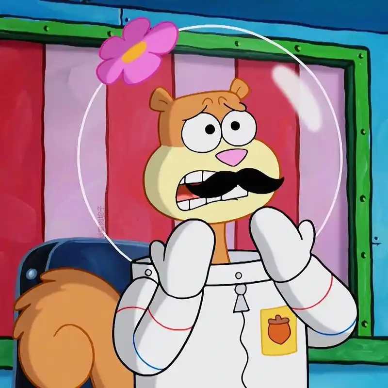 珊迪头像合集26615