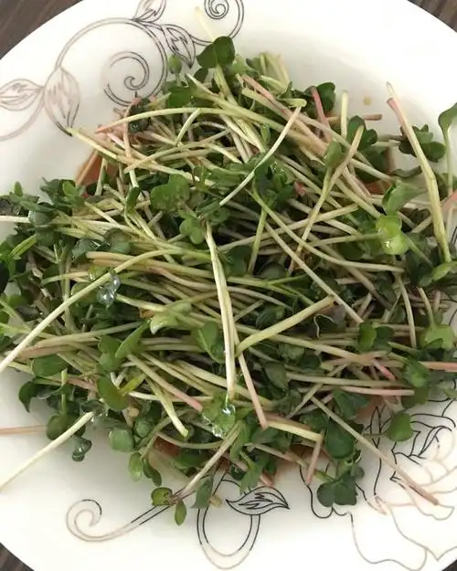 com做的糖醋萝卜苗