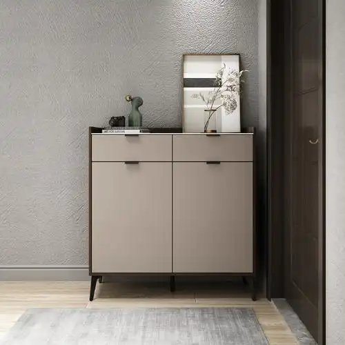 家用门口鞋柜2021年新款简约现代大容量轻奢玄关鞋柜