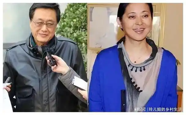 倪萍前夫王文澜为儿子治病用尽家财现在70岁仍未续弦