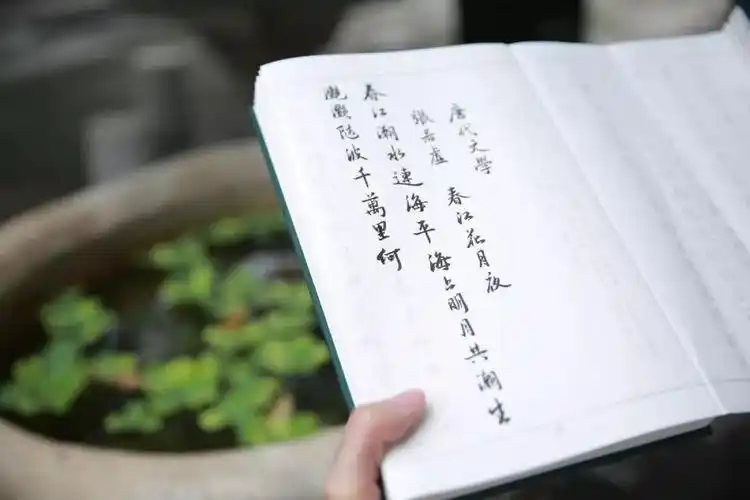 里,藏着你的气质内文字体邀请书法家李放鸣先生,专为书帖书写软笔行楷