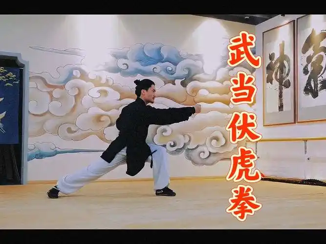 武当镇山拳法伏虎拳