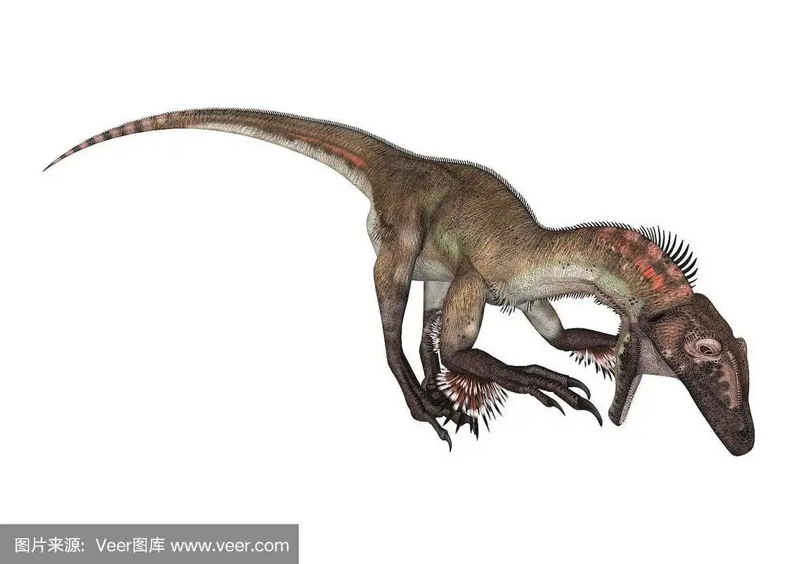 3d渲染恐龙犹他盗龙在白色