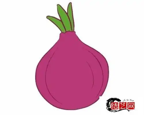每天学一幅简笔画--洋葱简笔画的画法步骤图解教程及图片大全
