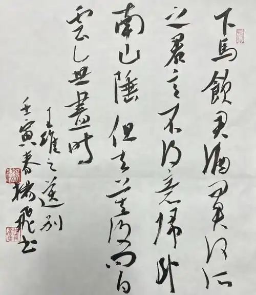 中国书画形象大使—— 杨飞|书法|名家|书协|美术师_网易订阅