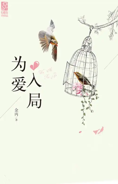 《为爱入局》/《大赌局》作者:金丙.这场赌局,我将付出一切,耗尽一生.