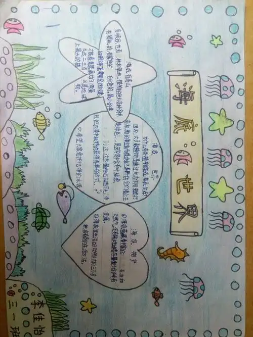 《美丽的海底世界》手抄报