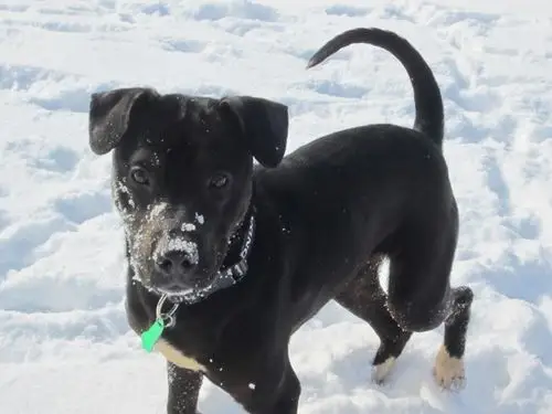father and son out riding motorcycles end up making a heart