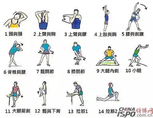 (8-12分钟):动态拉伸,专项技能相关训练,多做几次用于优化动作模式