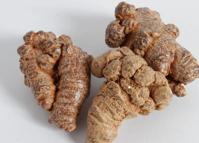 土三七和三七的区别是什么?