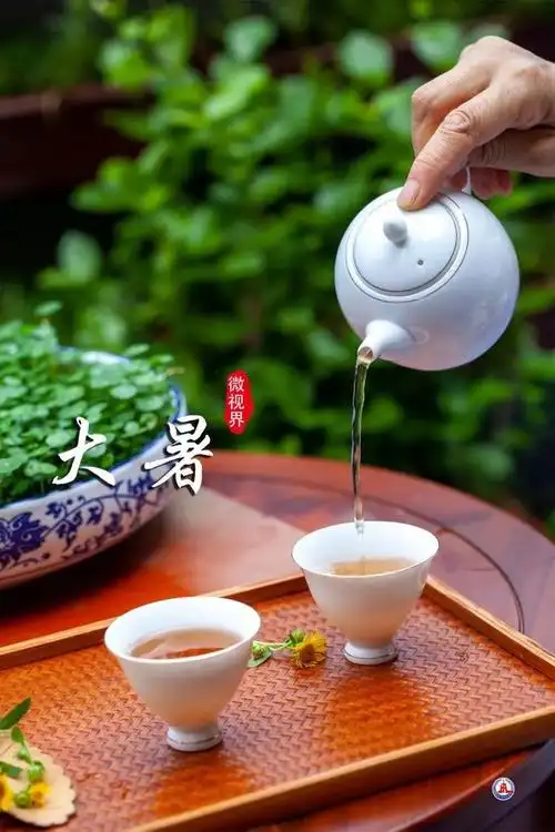 大暑小暑是什么意思『大暑小暑是什么意思多少天』