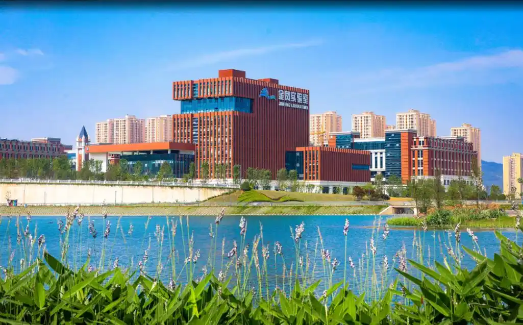 西部重庆科学城加速发展新质生产力阔步迈向繁花时代