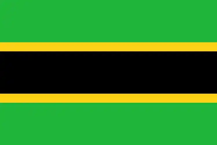 坦桑尼亚国旗