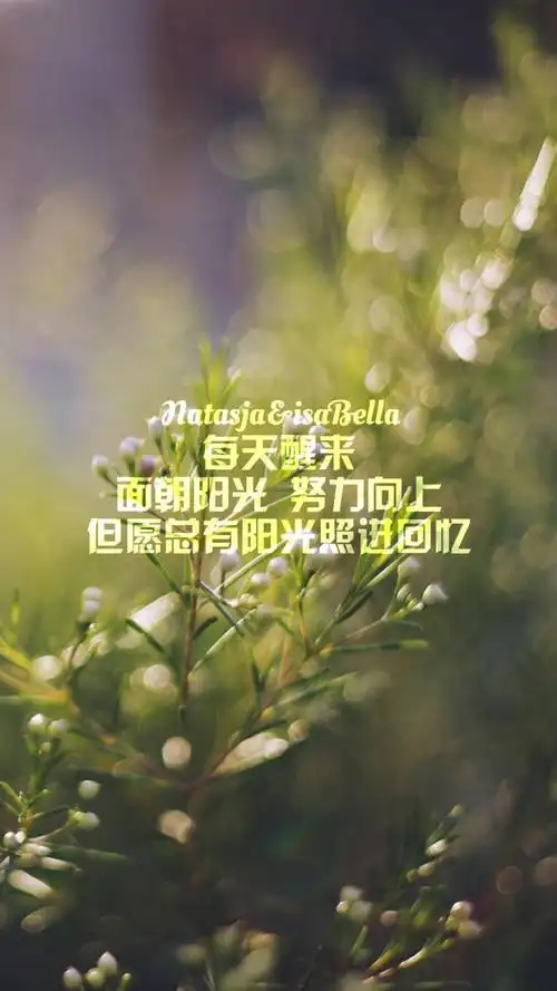 阳光 励志 唯美 文字