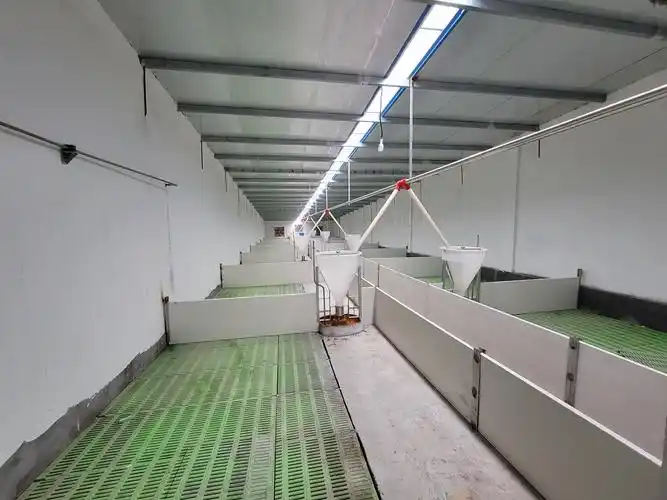 设计合理,装备先进的西华县恒瑞牧业有限公司5000头母猪的现代化养猪