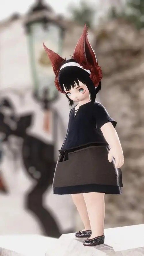 最终幻想14ff14个人向拉拉肥母肥幻化整理