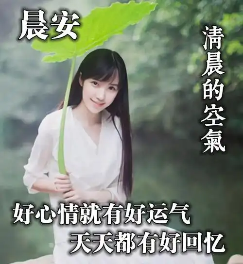 微信朋友圈祝福语问候大家早上好动图表情美女2021,清晨祝福早上好